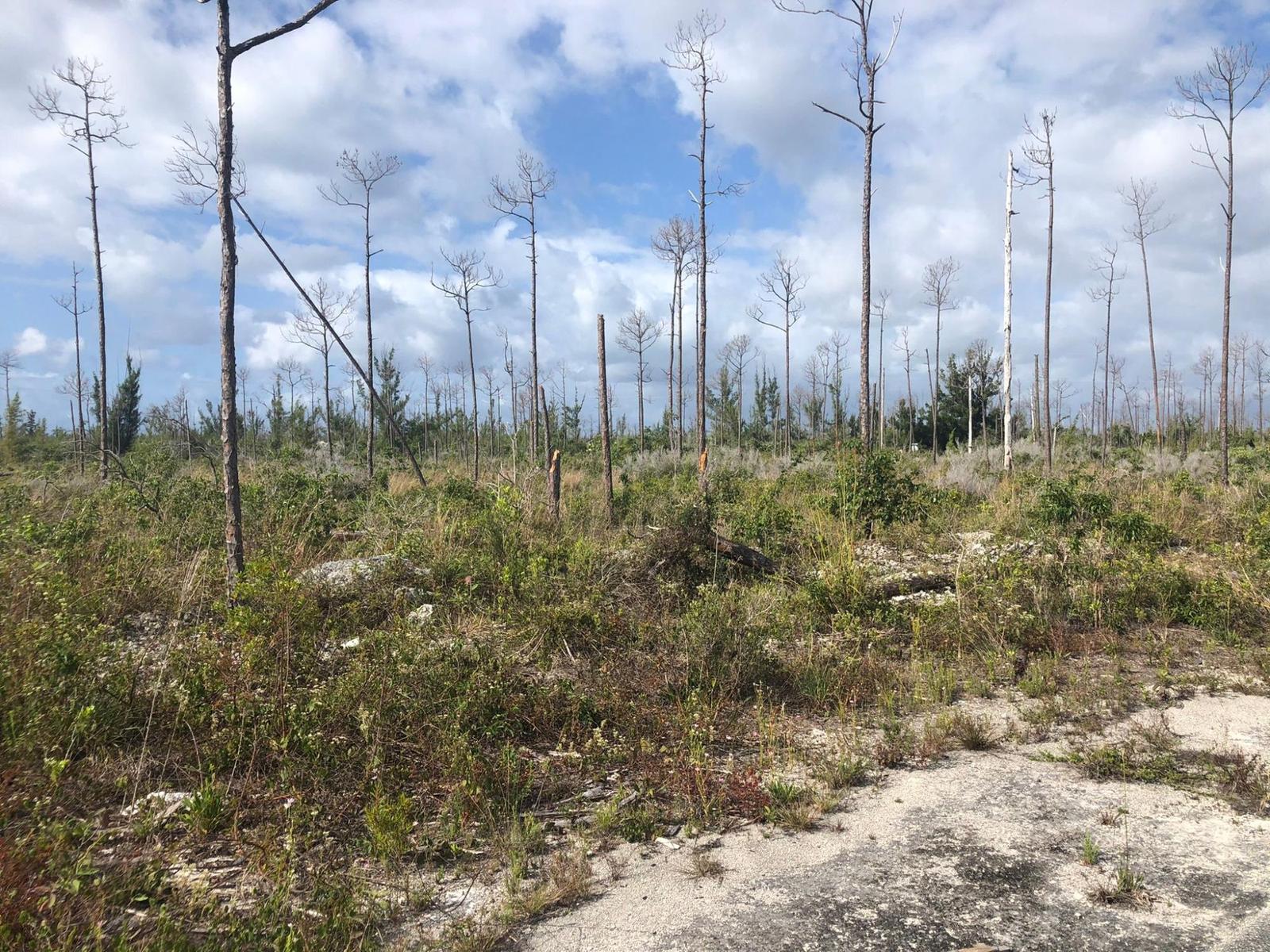 FREEPORT — photo 3