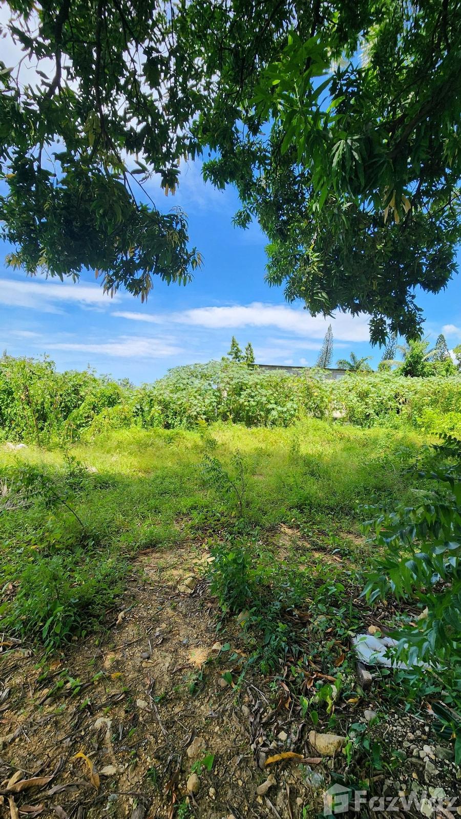 2000 SqM Land Plot for Sale in San Felipe De Puerto Plata — photo 4