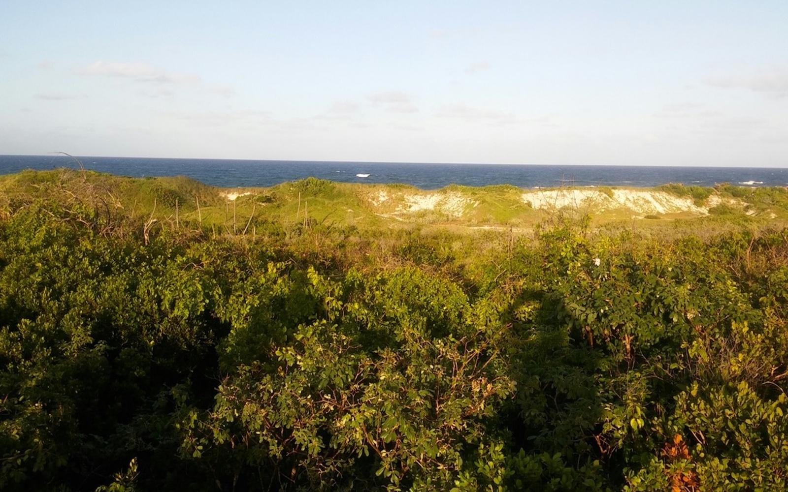 Vacant Land for sale - Large Oceanview Lot 1, Millers — photo 3