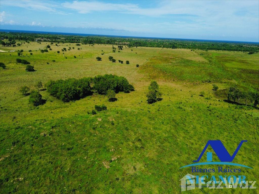 100,000 square meter land for project for sale in Pop — photo 3