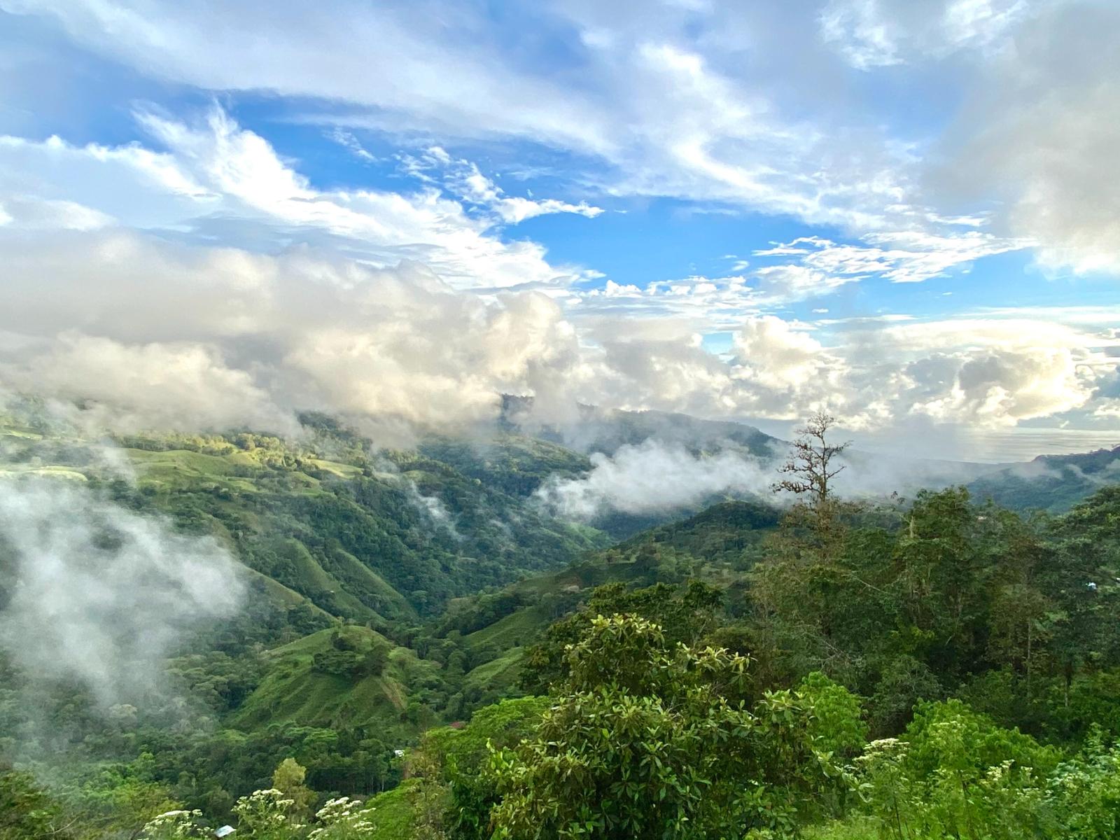137 Acres of Development Land with Ocean Views in Uvita — photo 4