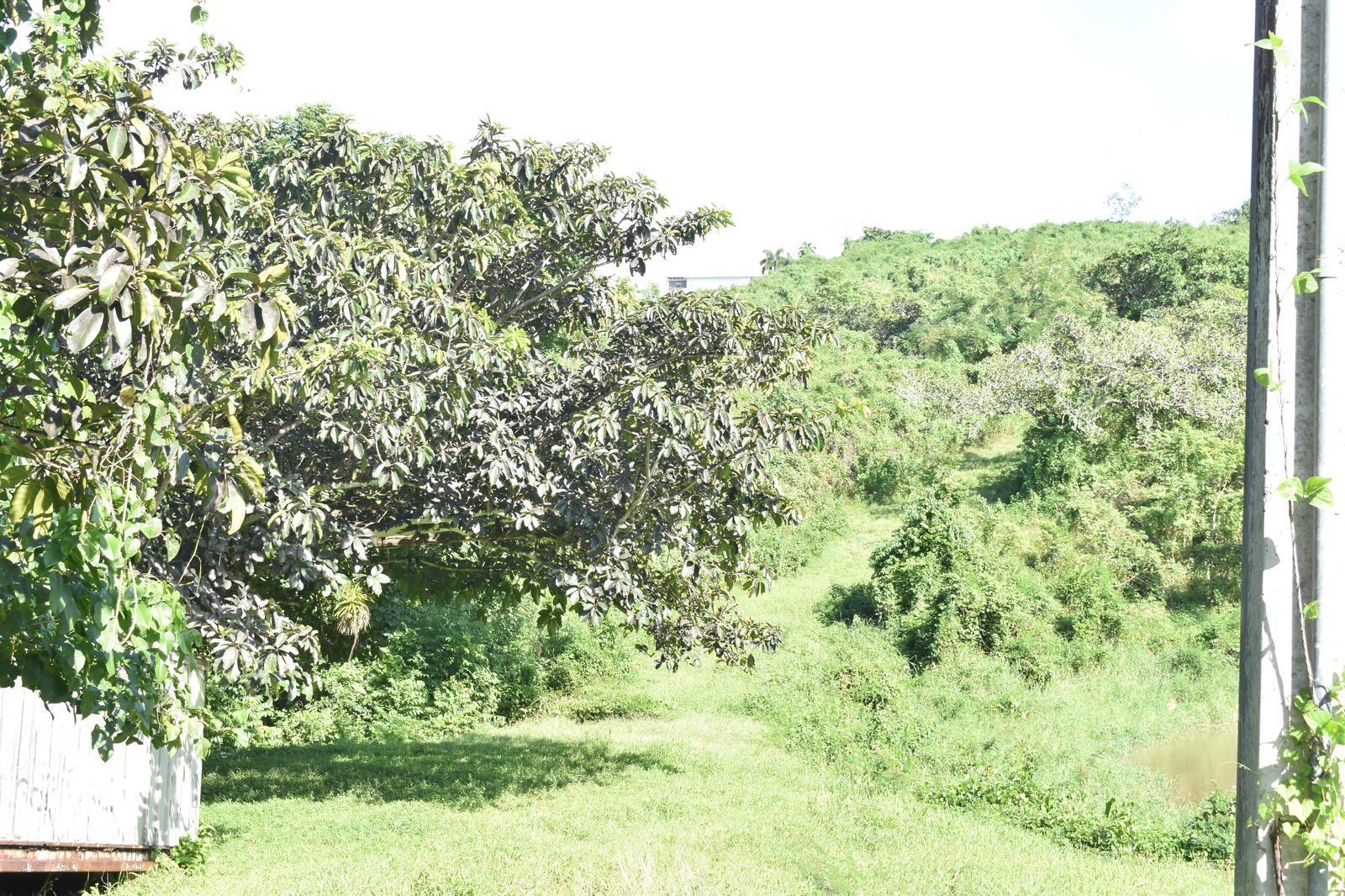 Canovanas, Cambalache Sector, 16.5 acres, near lake — photo 3