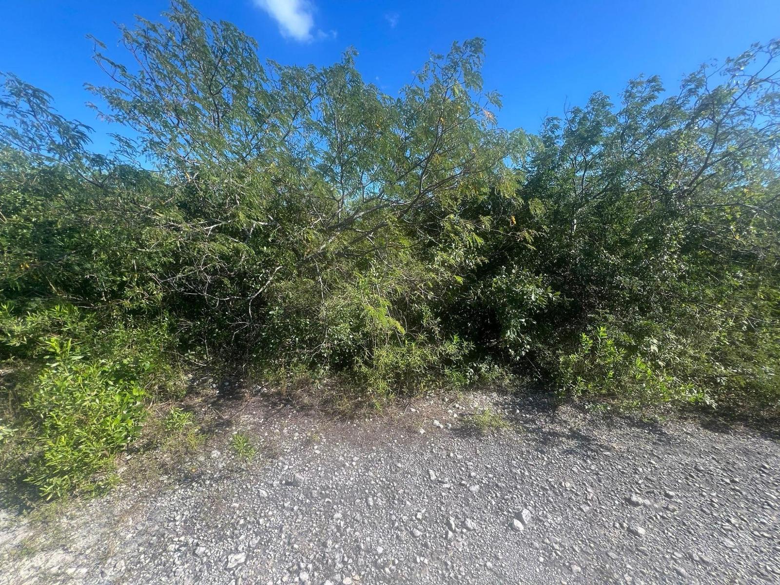SANDALWOOD ROAD, — photo 2