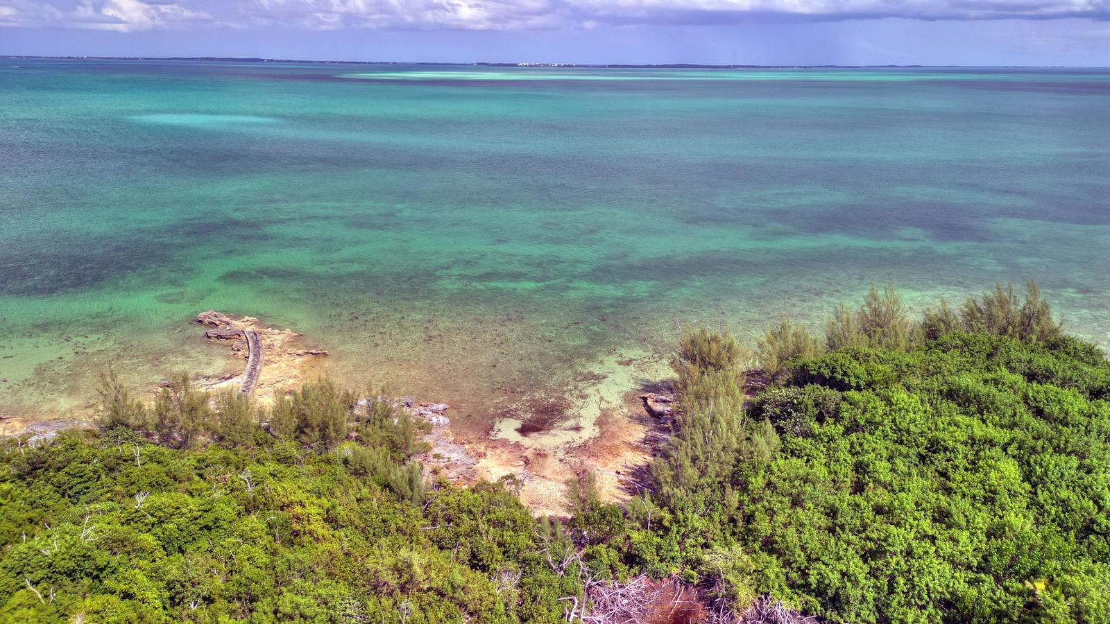 Stede Bonnet Waterfront Acreage - MLS 66755 — photo 4