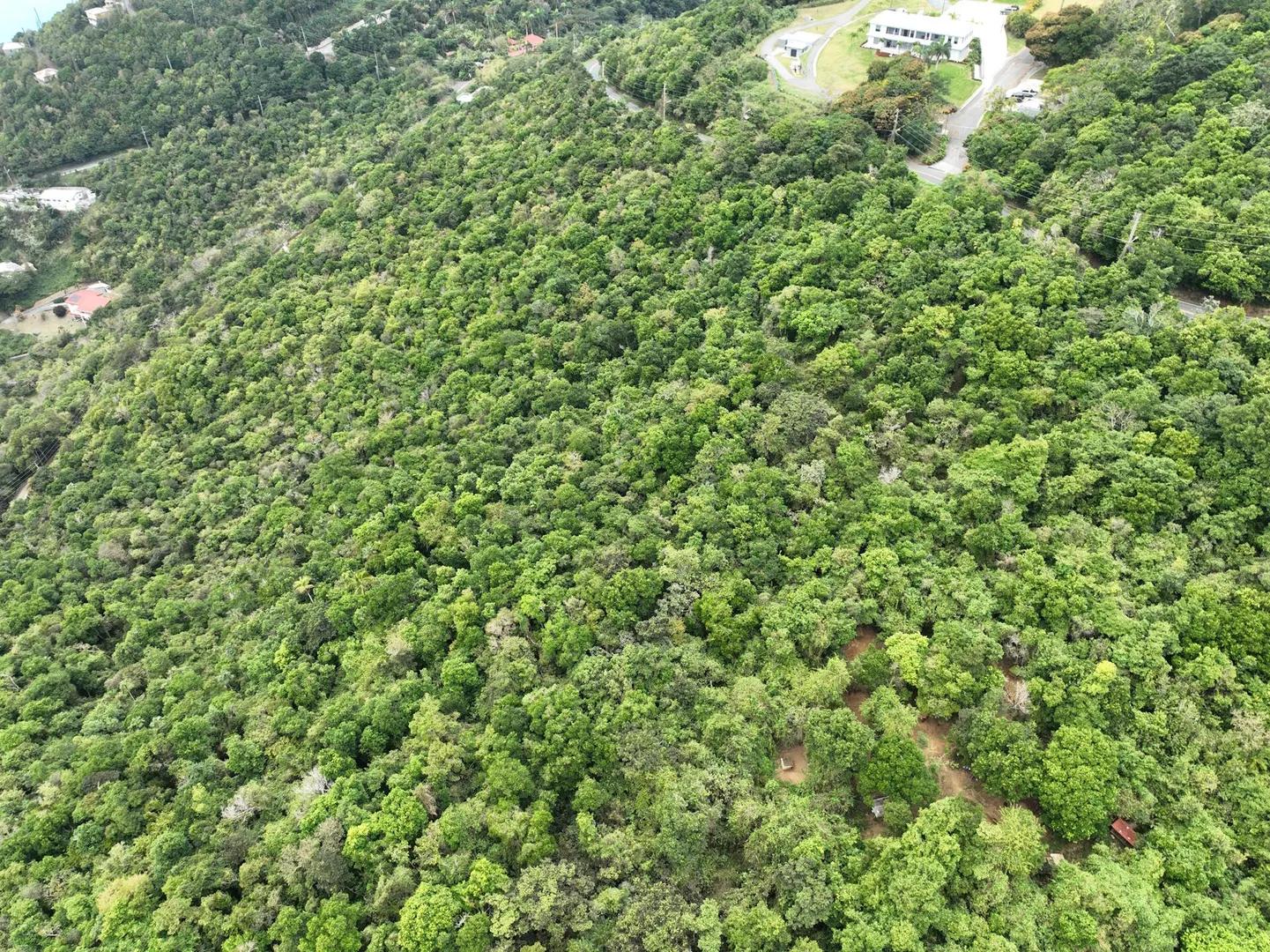 2ba & 2bb Crown & Hawk Ss Homesite — photo 4