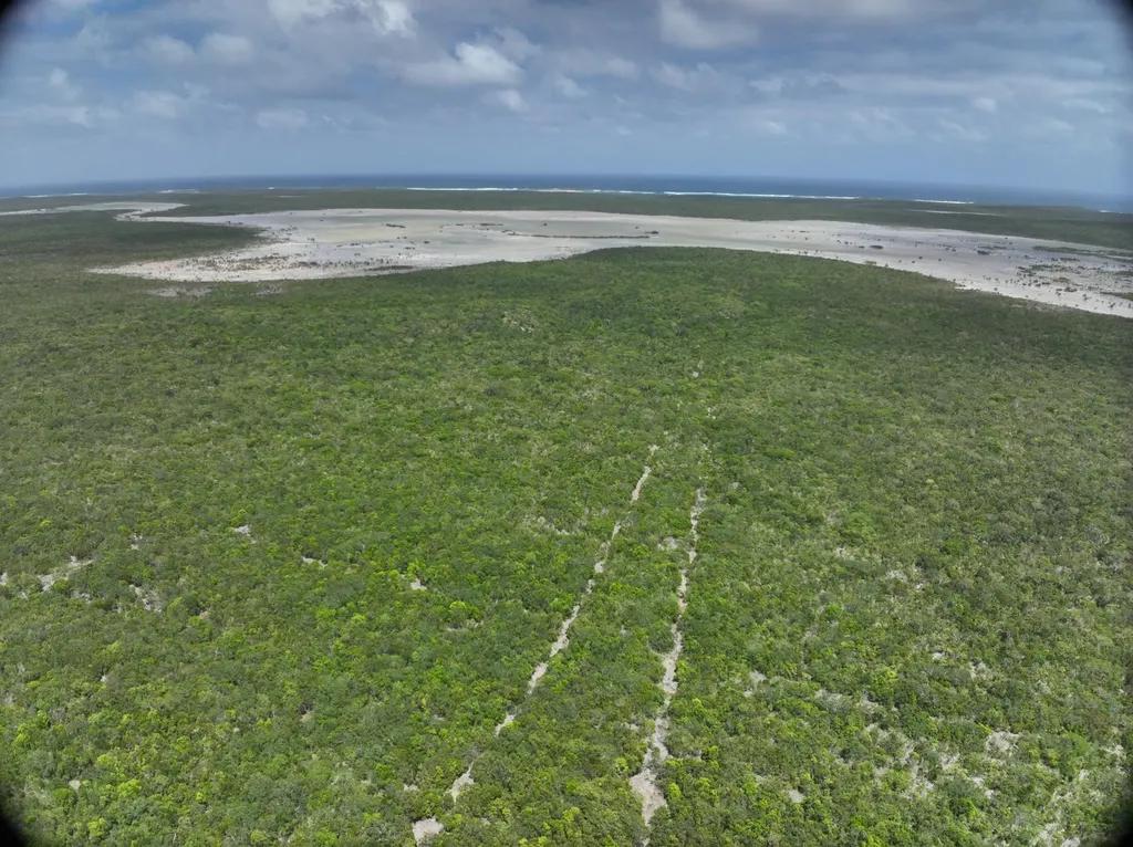 Hugh Dean Tract 12.5 Acres Long Island, BS — photo 1