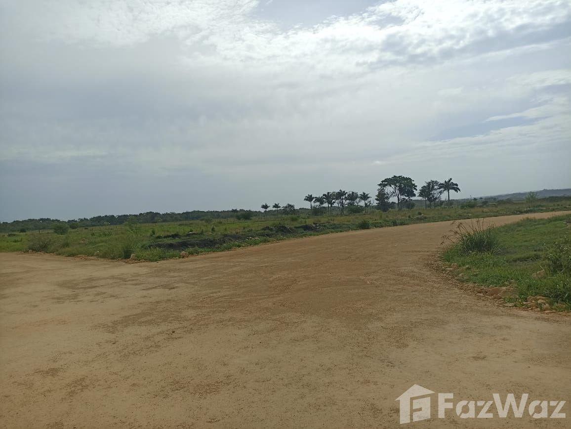 Land for sale in Plantation – Puerto Plata — photo 4