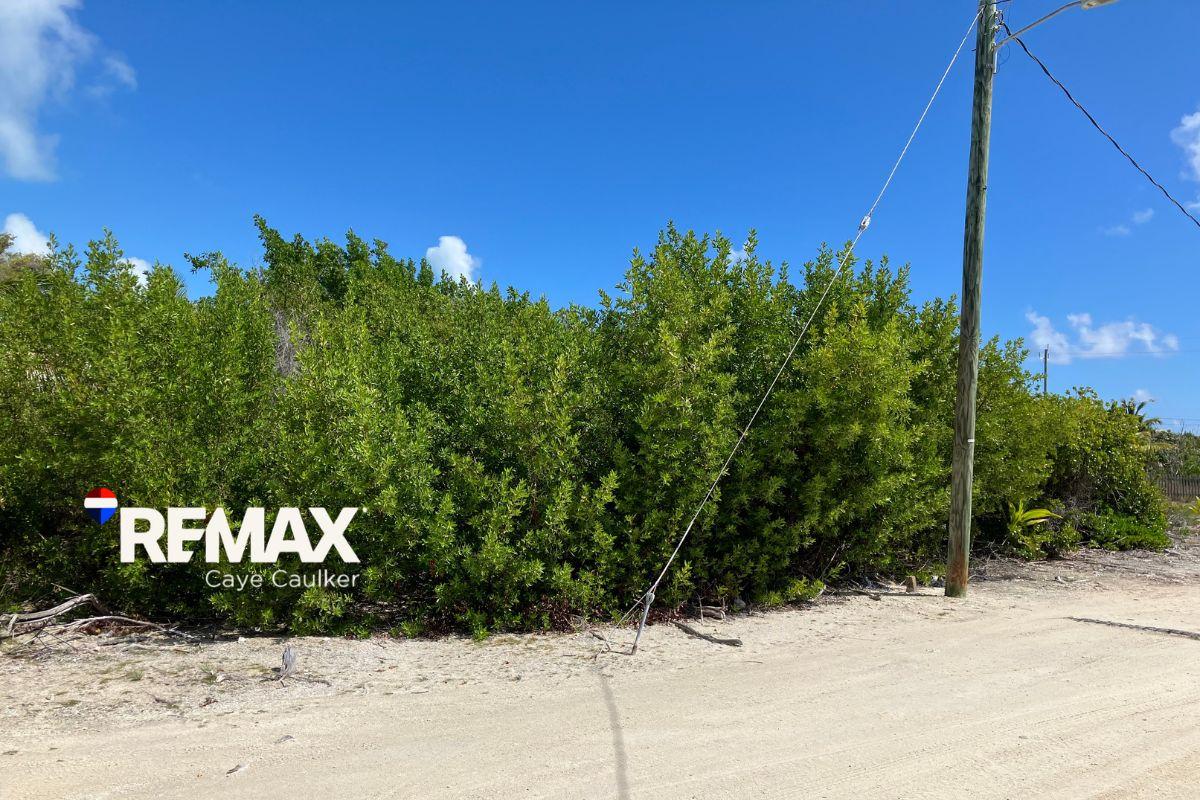 Prime North Caye Caulker Lot – High, Dry, and Ready for Development — photo 2
