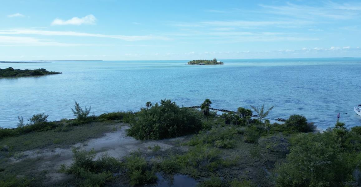 1.48 Acre Beach Front Lot on West Coast & Platinum Coast Ambergris Caye — photo 3