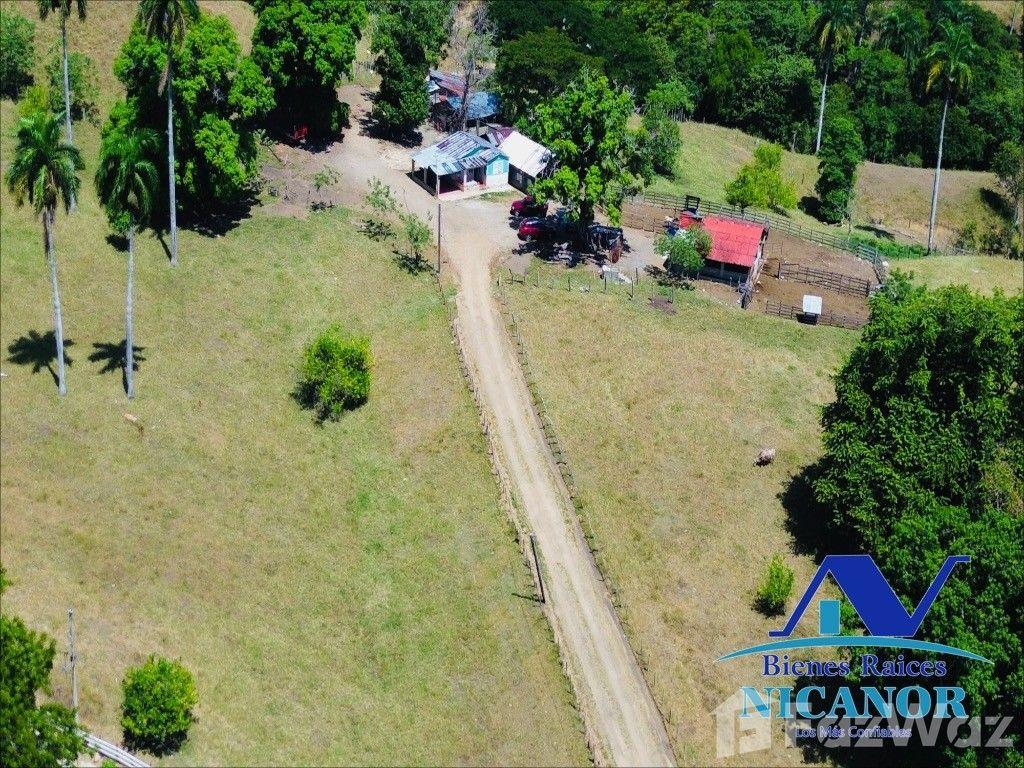 Cattle Ranch for Sale in Guananico, Puerto Plata — photo 2