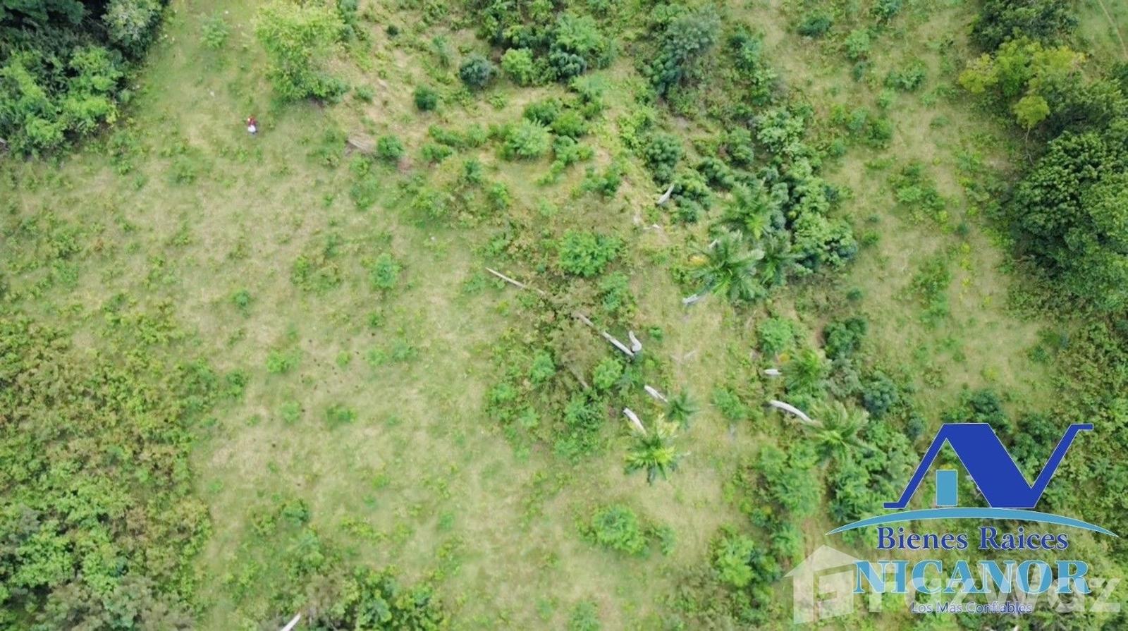 1,150 acre farm for sale in Guananico, Puerto Plata — photo 5