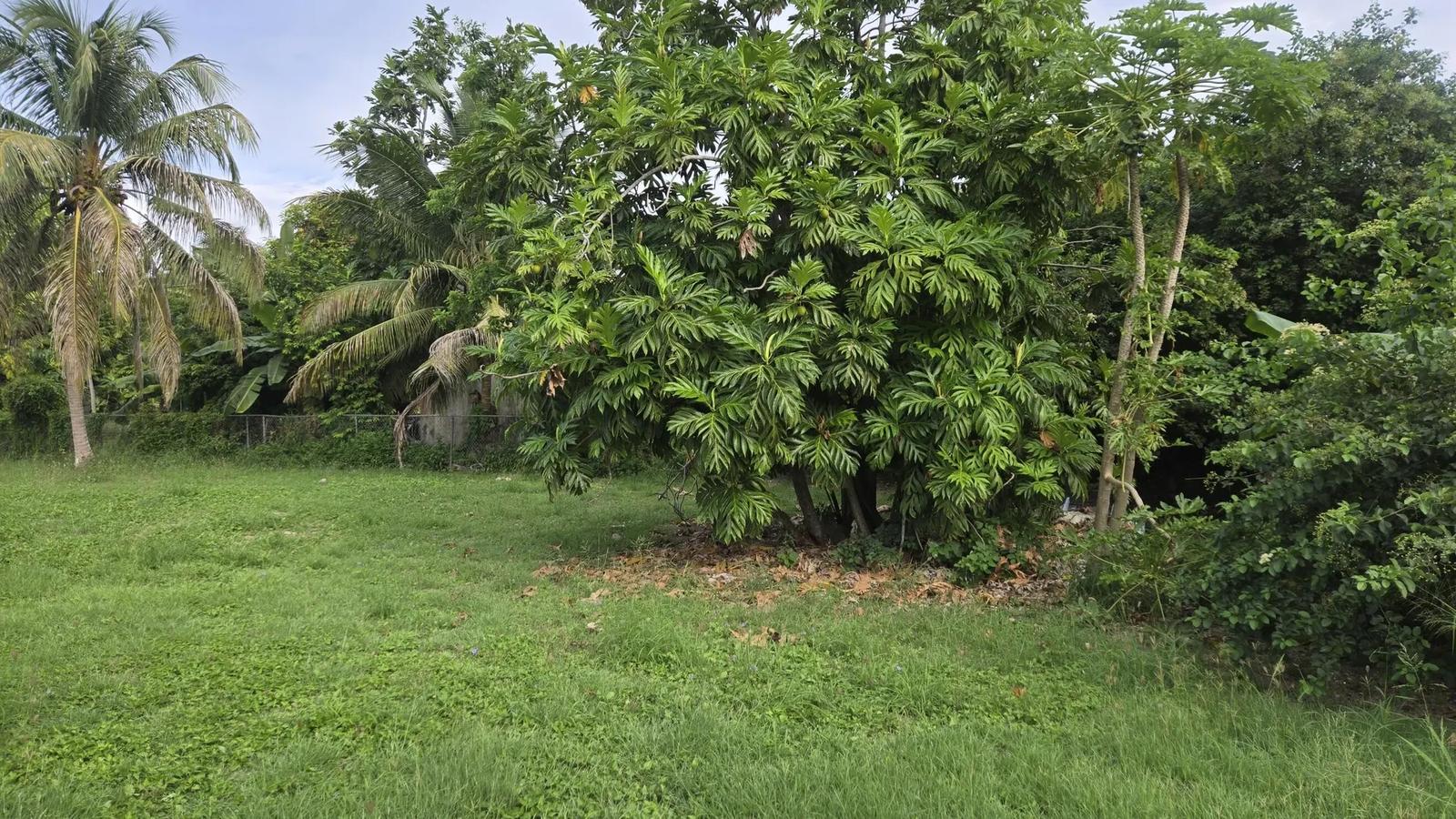 0.38 Acre Homesite in St. Croix — photo 3