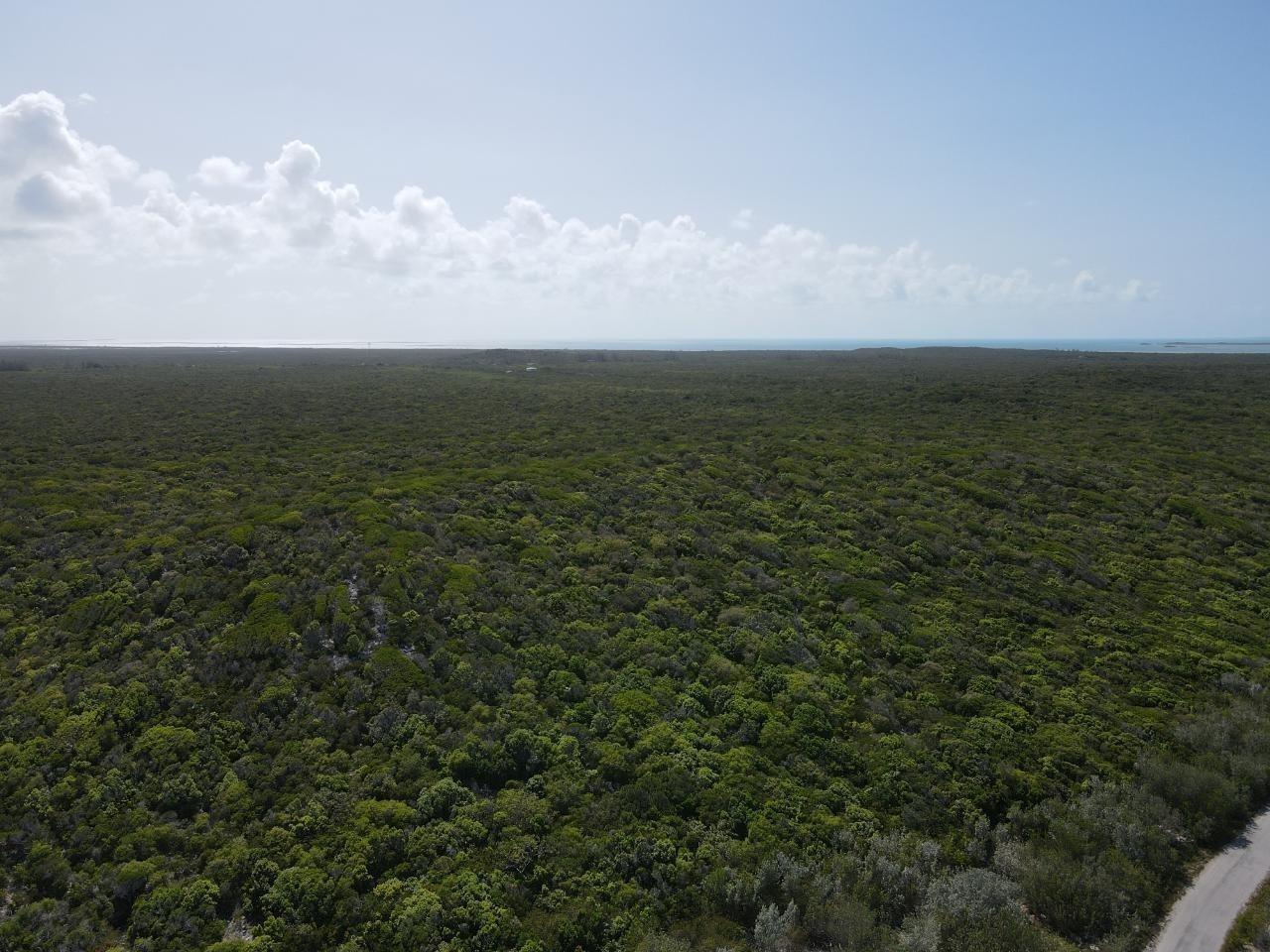 6 Acres Doctor's Creek — photo 5