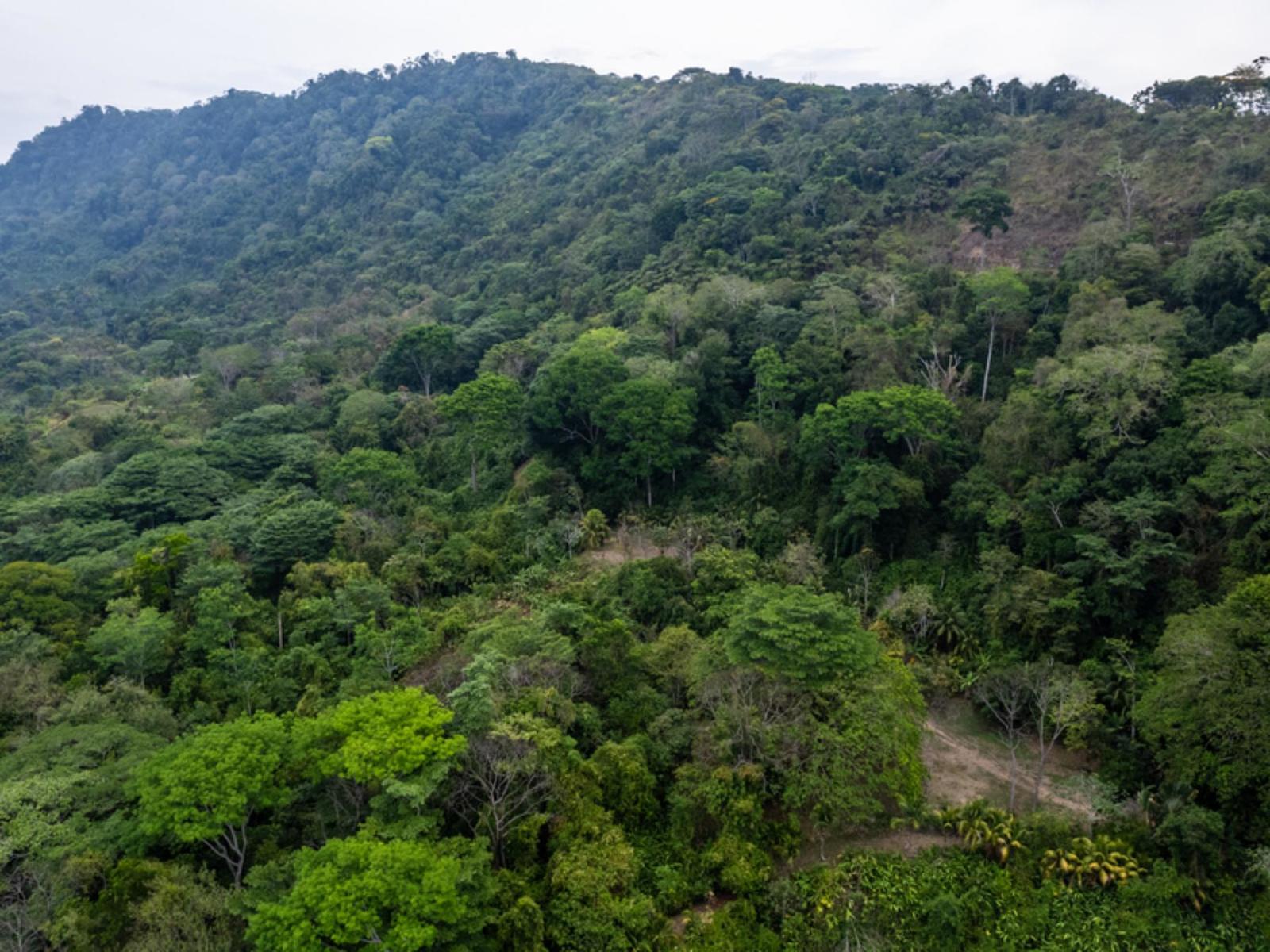 33.23 Acres of Land for Sale in Lagunas, Dominical, Puntarenas, Costa Rica — photo 2