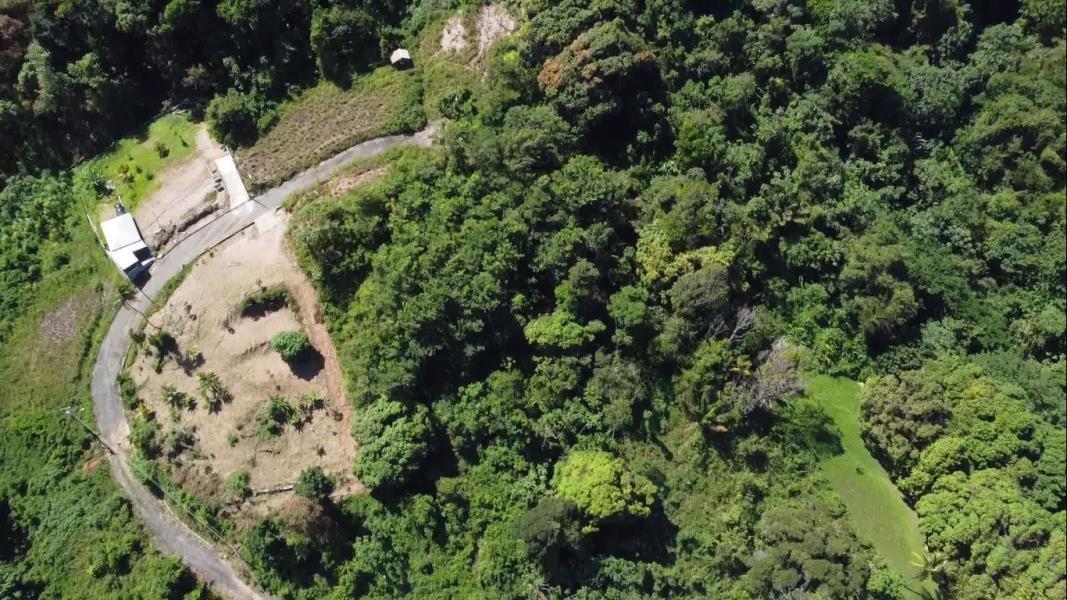 Blanchisseuse Land for Sale — photo 4