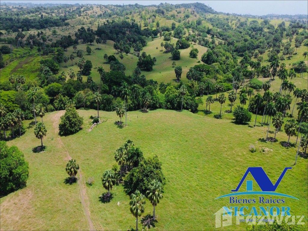 1,010 acre farm for sale in Imbert, Dominican Republic — photo 5