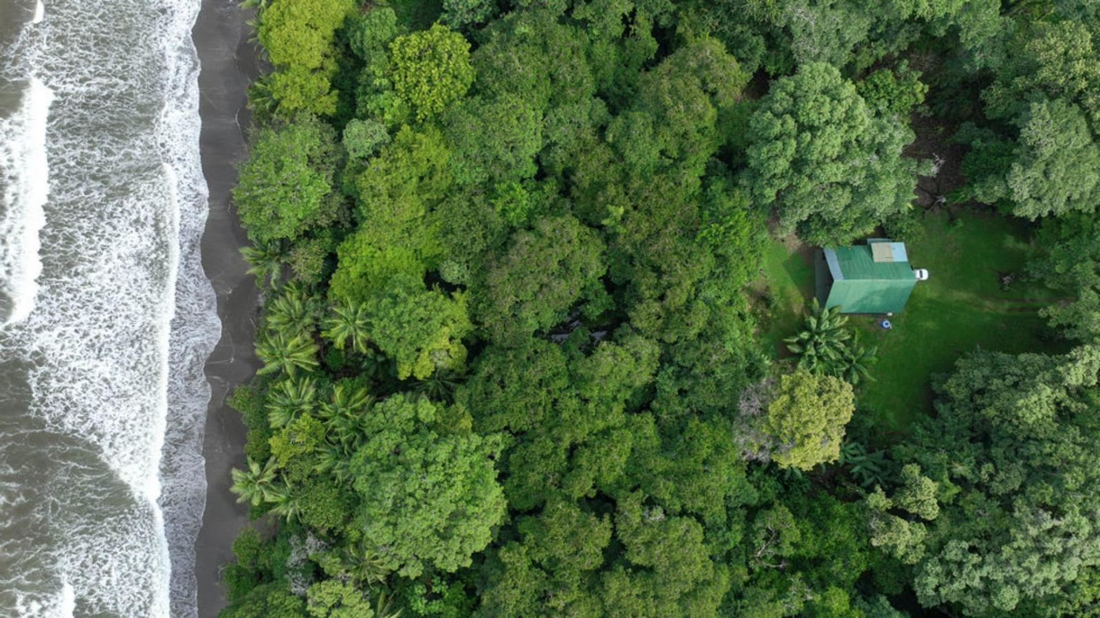 2.75 Acre Beachfront Property for Sale, Uvita, Puntarenas, Costa Rica — photo 2