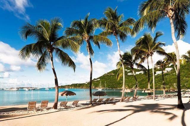 1 bedroom Co-op for sale — 479 Chocolate Hole, St. John, VI — photo 1