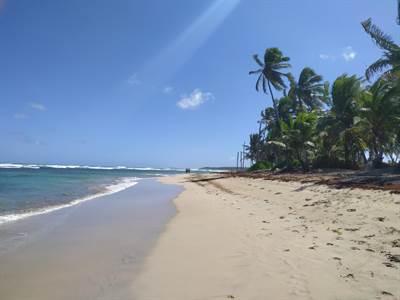 5 bedroom property for sale — Uvero Alto Beach Front Villa With Land in Macao-Uvero Alto, East Coast, DO — photo 5