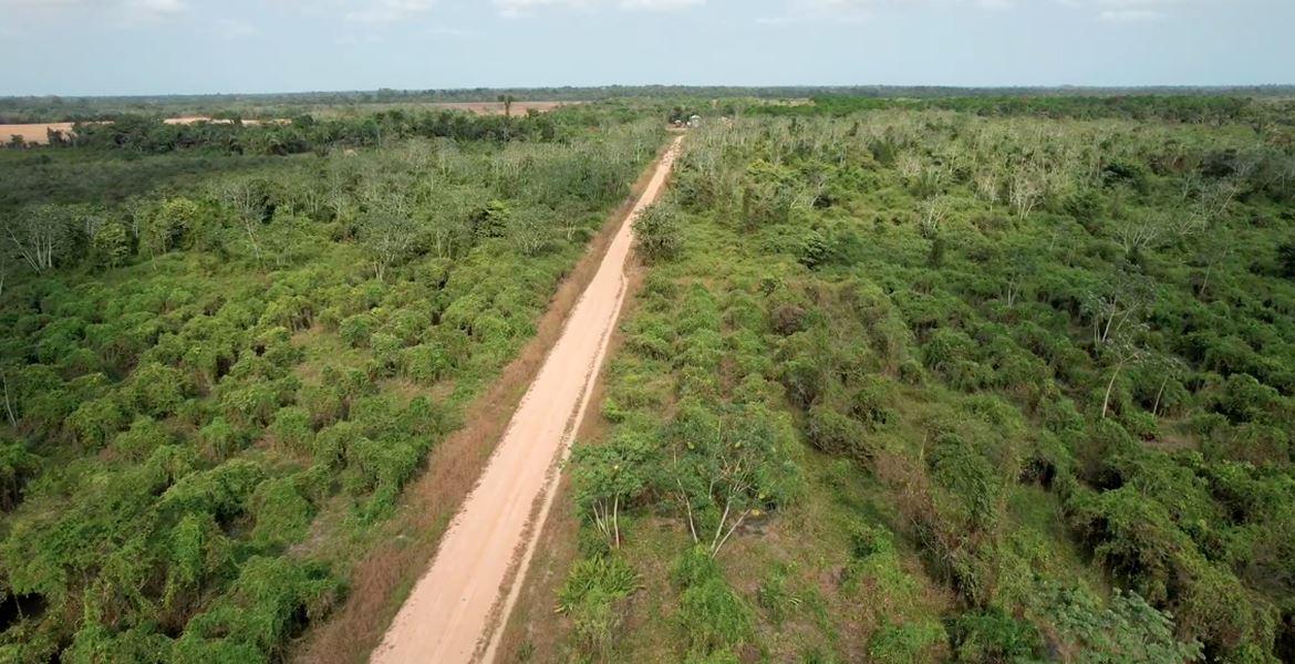 44 Acres Farmland for Sale in Belize — photo 5
